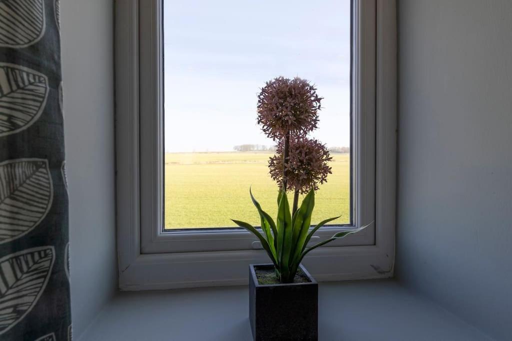 Auckland View - A Comfy & Spacious 4Bed With Views Coundon Экстерьер фото